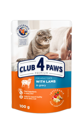 CLUB 4 PAWS Premium πλήρης υγρή τροφή για ενήλικες γάτες με αρνί σε σάλτσα 100 g